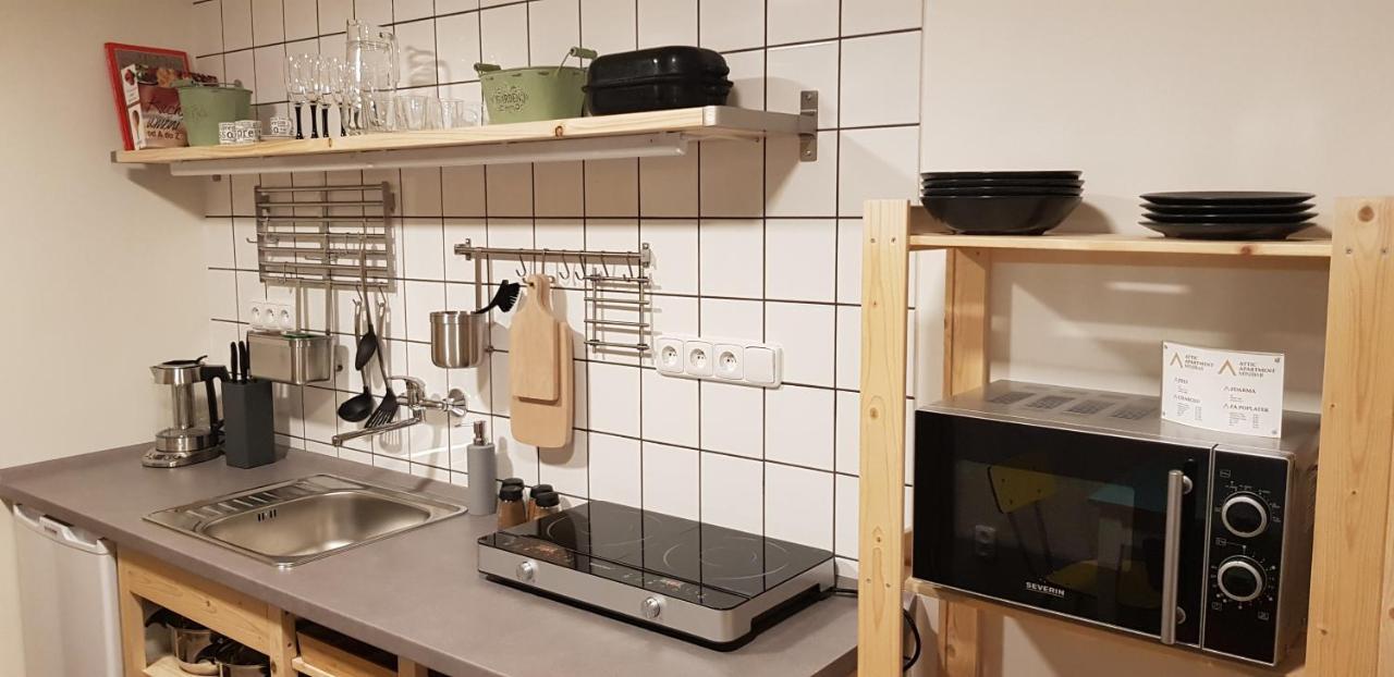 Stylove Podkrovni Apartmany اوسترافا المظهر الخارجي الصورة