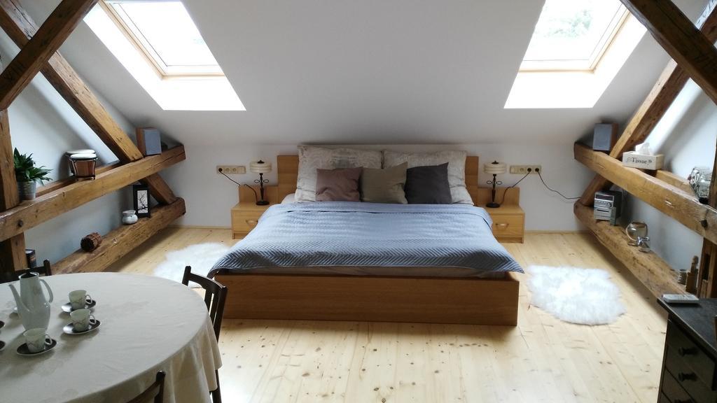 Stylove Podkrovni Apartmany اوسترافا المظهر الخارجي الصورة